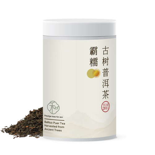 Single tea tin of luxury chinese ancient tree banuo loose puer tea packaged in branded elegant white tea tin